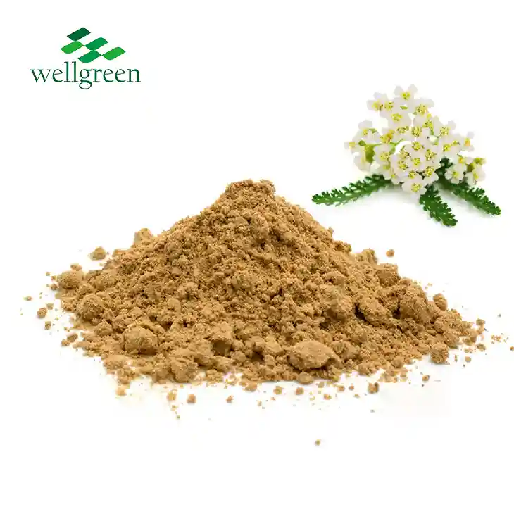 Achillea Millefolium Extract